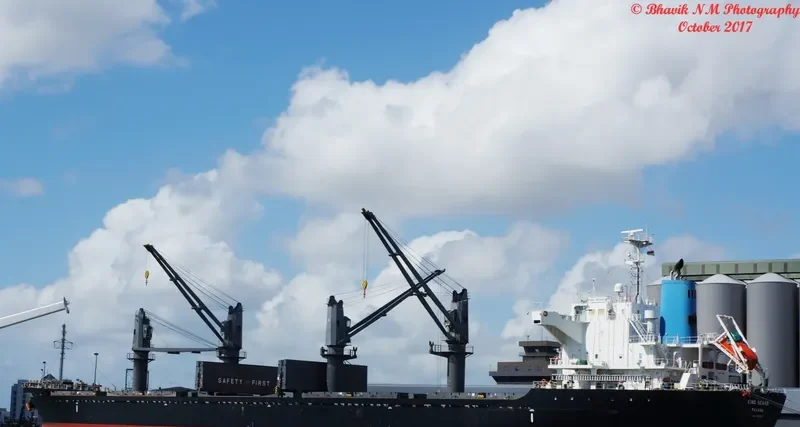 PORTLAND Bulk Carrier IMO 9550151