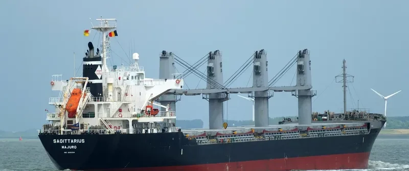 SAGITTARIUS Bulk Carrier IMO 9550254 photo 4