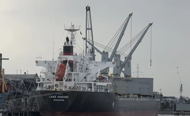 LAKE HAKONE Bulk Carrier IMO 9550278 photo 3