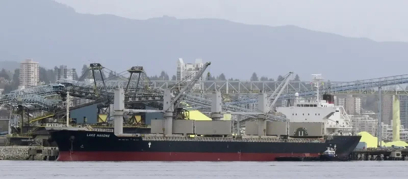 LAKE HAKONE Bulk Carrier IMO 9550278 photo 8