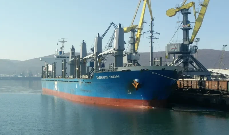 GLORIOUS SAWARA Bulk Carrier IMO 9550280 photo 3