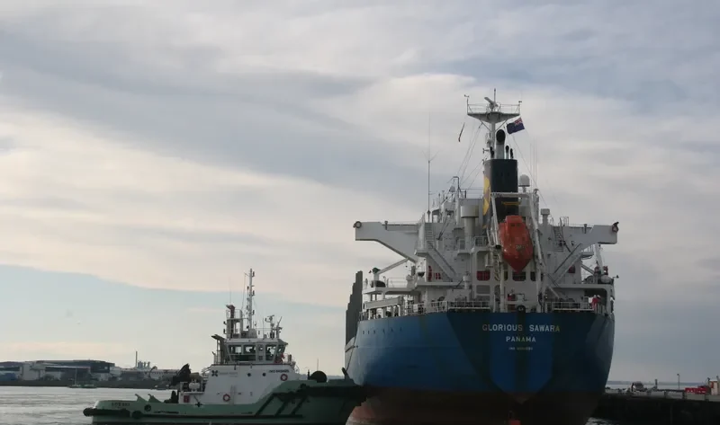 GLORIOUS SAWARA Bulk Carrier IMO 9550280 photo 5