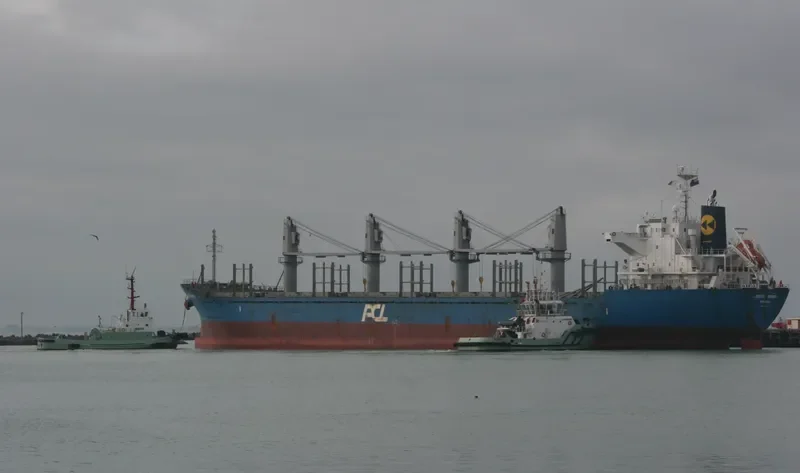 GLORIOUS SAWARA Bulk Carrier IMO 9550280 photo 6