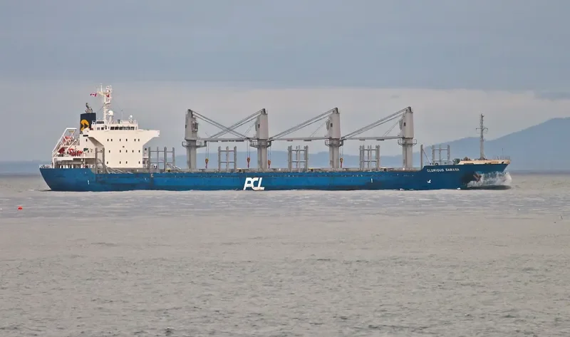 GLORIOUS SAWARA Bulk Carrier IMO 9550280 photo 7