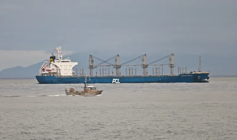 GLORIOUS SAWARA Bulk Carrier IMO 9550280 photo 8
