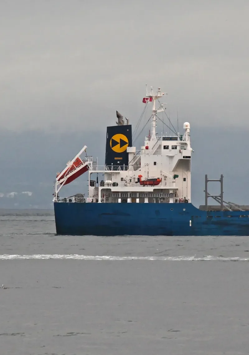 GLORIOUS SAWARA Bulk Carrier IMO 9550280 photo 9