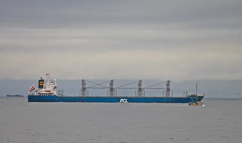 GLORIOUS SAWARA Bulk Carrier IMO 9550280 photo 10