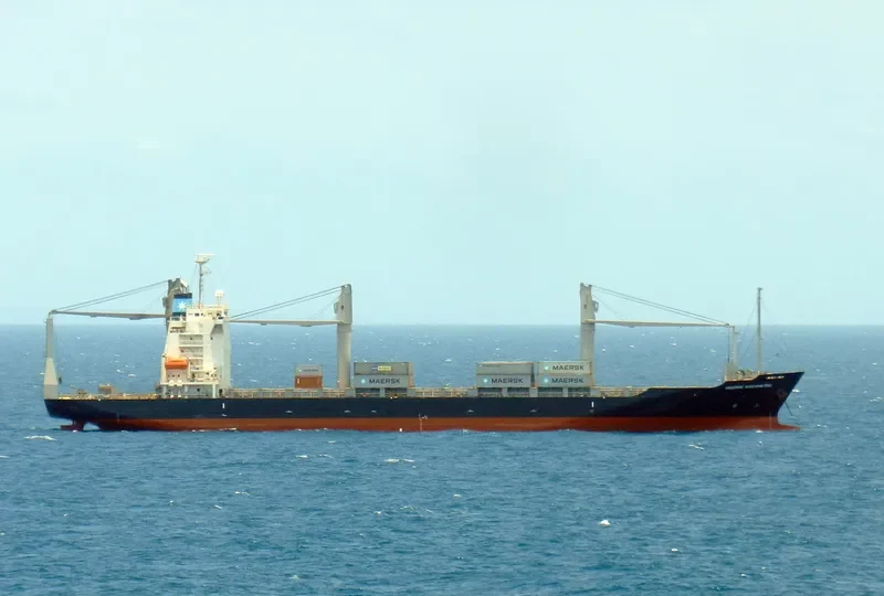JAN Container Ship IMO 9550345 photo 2