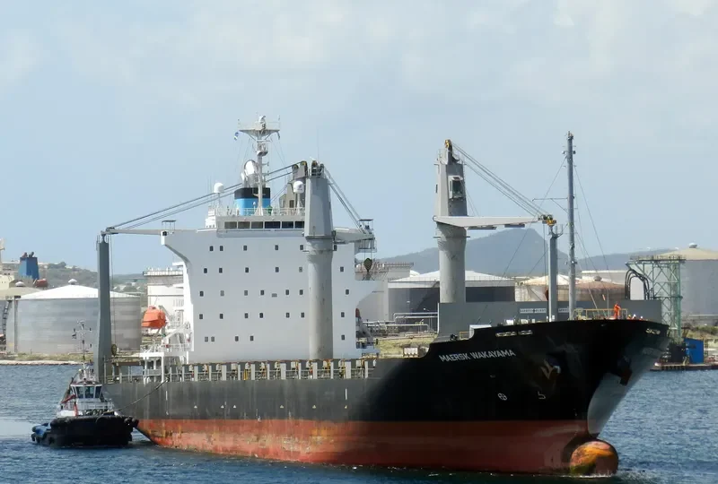 MAERSK WAKAYAMA Container Ship IMO 9550357 photo 3