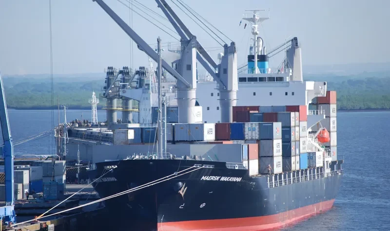MAERSK WAKAYAMA Container Ship IMO 9550357 photo 9