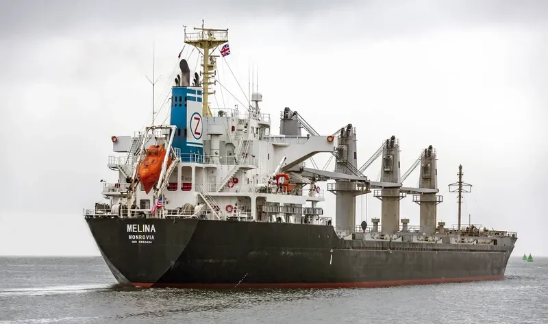 MELINA Bulk Carrier IMO 9550424 photo 2