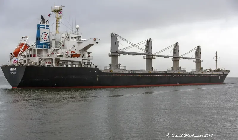 MELINA Bulk Carrier IMO 9550424 photo 3