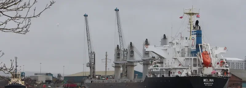 MELINA Bulk Carrier IMO 9550424 photo 7
