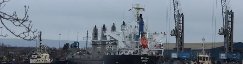 MELINA Bulk Carrier IMO 9550424 photo 8