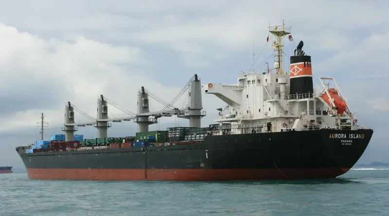 MELINA Bulk Carrier IMO 9550424 photo 9
