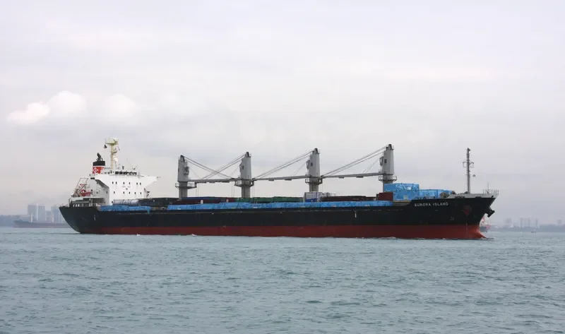 MELINA Bulk Carrier IMO 9550424 photo 10