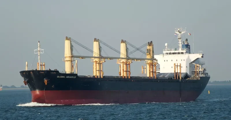 GLOBAL AQUARIUS Bulk Carrier IMO 9550436 photo 2