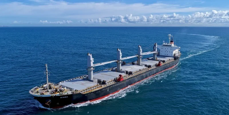 WYUNA Bulk Carrier IMO 9550448 photo 3