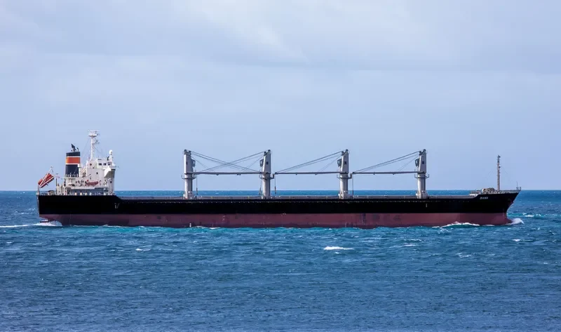 WYUNA Bulk Carrier IMO 9550448 photo 4