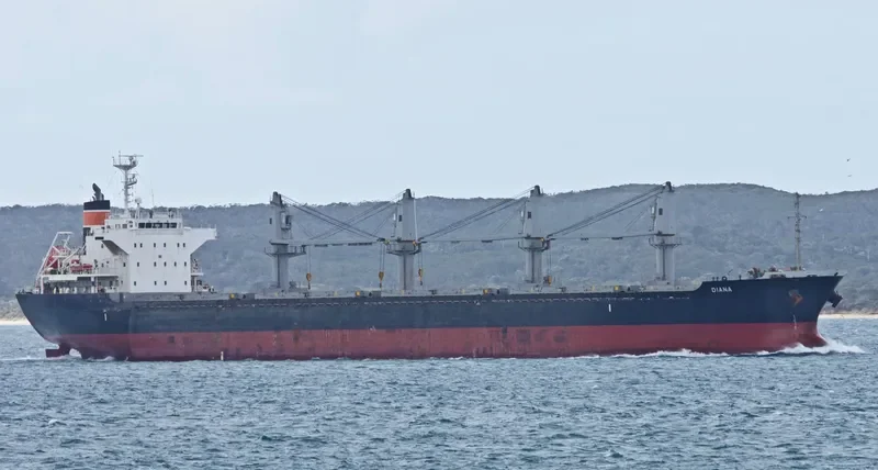 WYUNA Bulk Carrier IMO 9550448 photo 7