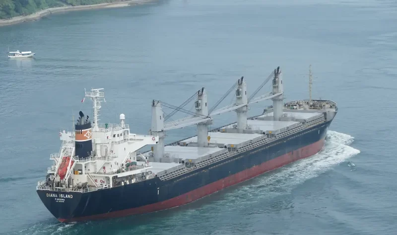 WYUNA Bulk Carrier IMO 9550448 photo 8