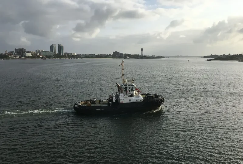 NYANGUMI General Cargo IMO 9550515