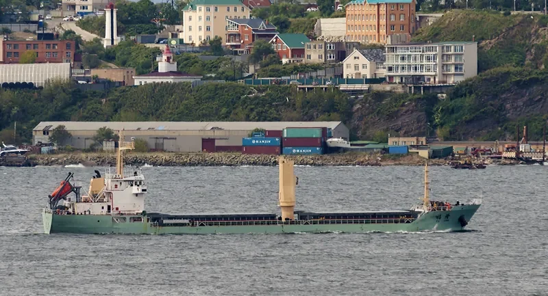FU LONG Bulk Carrier IMO 9550735