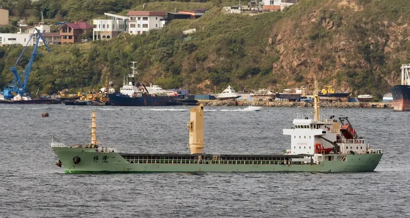 FU LONG Bulk Carrier IMO 9550735 photo 2