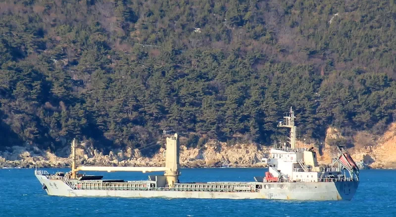 FU LONG Bulk Carrier IMO 9550735 photo 6