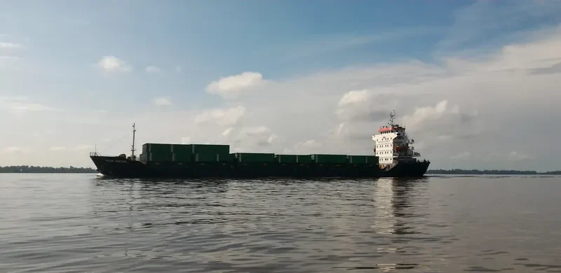 TELUK BINTUNI Container Ship IMO 9551076