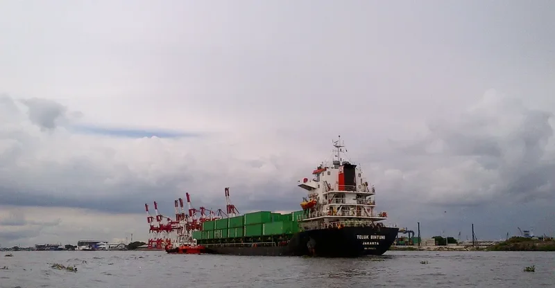 TELUK BINTUNI Container Ship IMO 9551076 photo 2