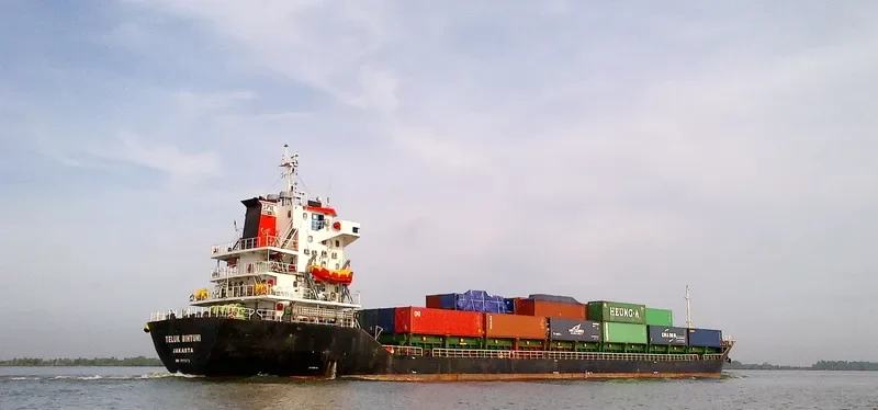 TELUK BINTUNI Container Ship IMO 9551076 photo 3