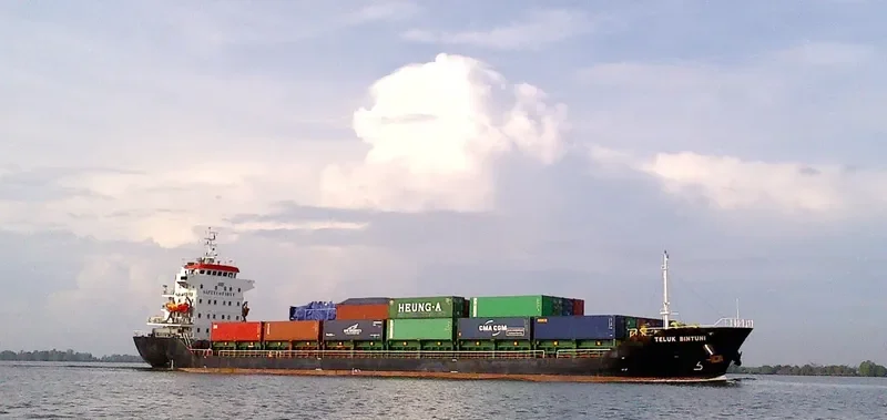 TELUK BINTUNI Container Ship IMO 9551076 photo 4