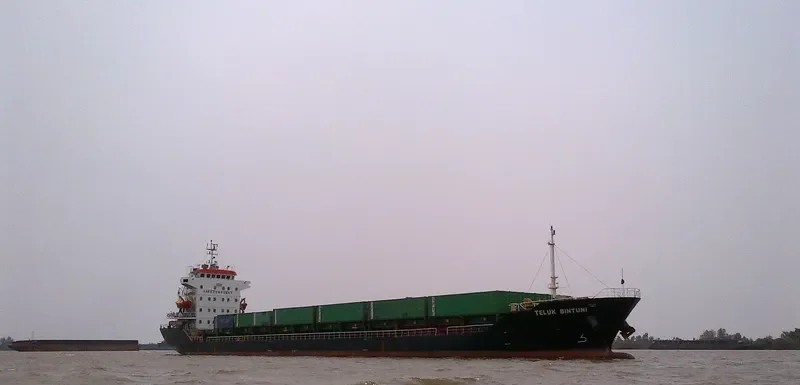TELUK BINTUNI Container Ship IMO 9551076 photo 5