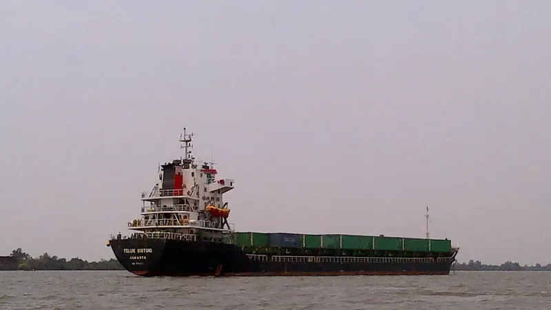 TELUK BINTUNI Container Ship IMO 9551076 photo 6