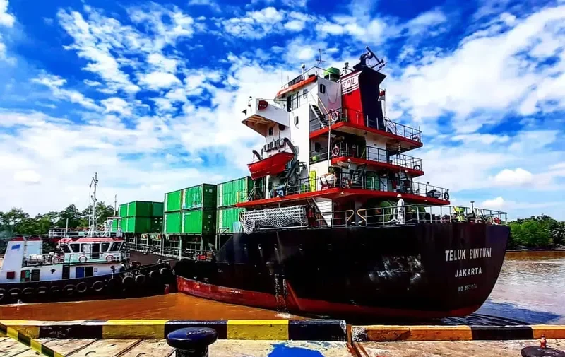 TELUK BINTUNI Container Ship IMO 9551076 photo 7