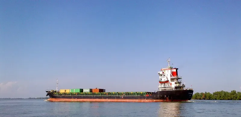 TELUK FLAMINGGO Container Ship IMO 9551088