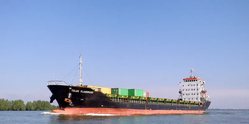 TELUK FLAMINGGO Container Ship IMO 9551088 photo 2