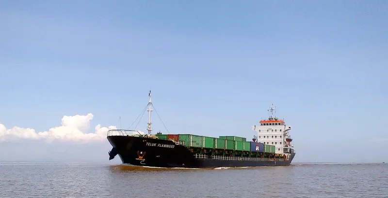 TELUK FLAMINGGO Container Ship IMO 9551088 photo 4