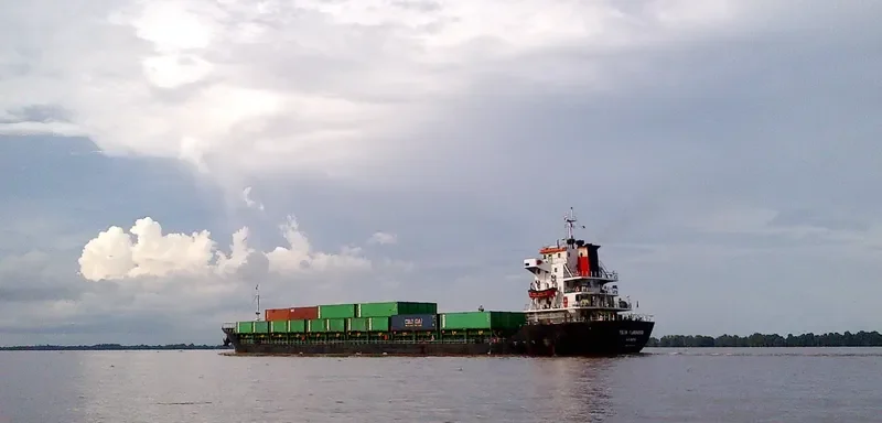 TELUK FLAMINGGO Container Ship IMO 9551088 photo 5