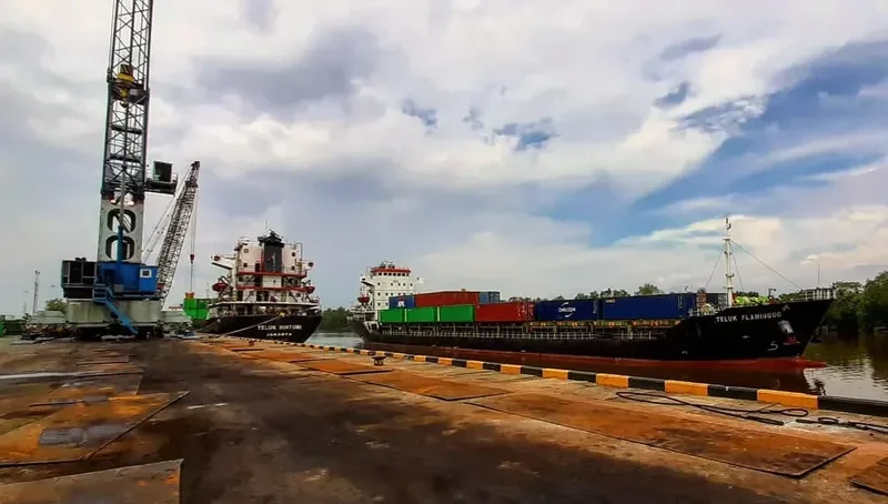 TELUK FLAMINGGO Container Ship IMO 9551088 photo 9