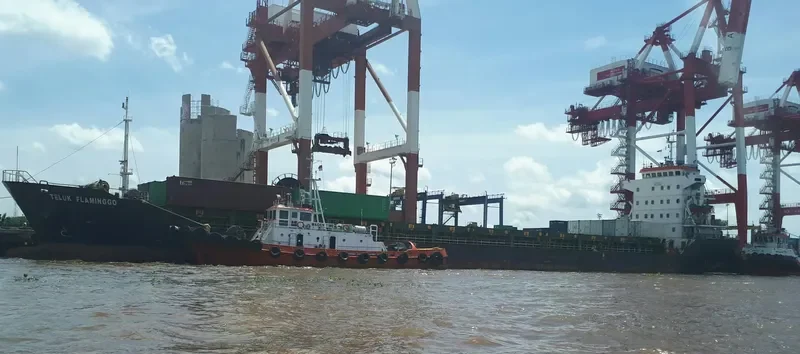 TELUK FLAMINGGO Container Ship IMO 9551088 photo 10