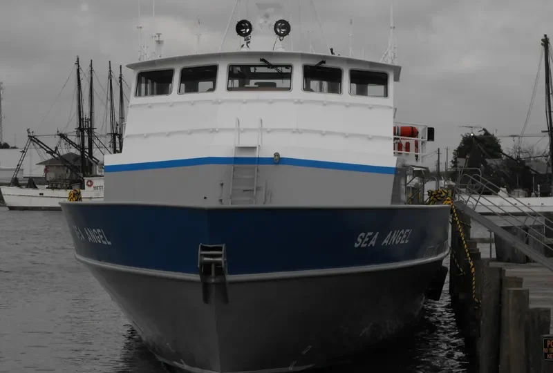 SEA ANGEL General Cargo IMO 9551222 photo 6