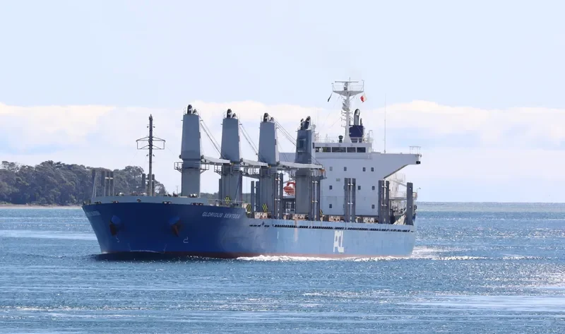 SUNLIGHT Bulk Carrier IMO 9551351