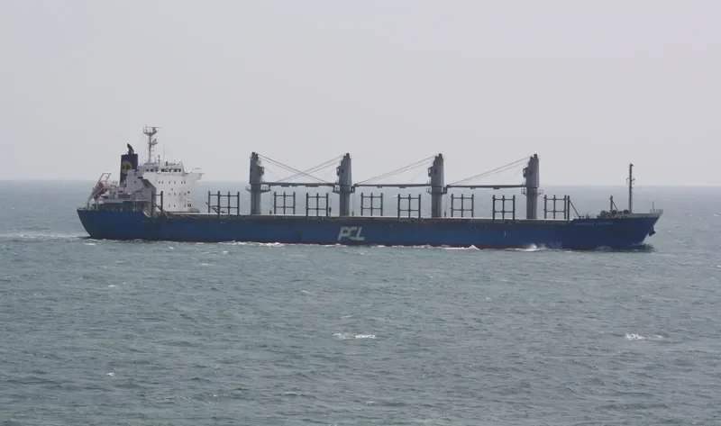 SUNLIGHT Bulk Carrier IMO 9551351 photo 3
