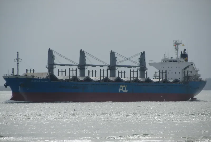 SUNLIGHT Bulk Carrier IMO 9551351 photo 5
