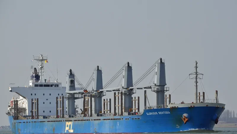 SUNLIGHT Bulk Carrier IMO 9551351 photo 7