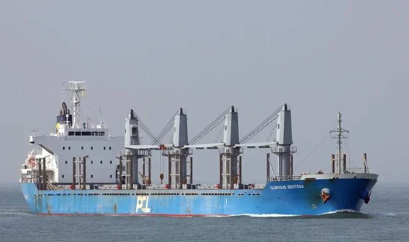SUNLIGHT Bulk Carrier IMO 9551351 photo 8