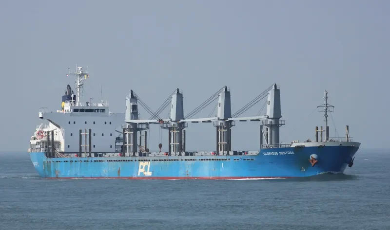 SUNLIGHT Bulk Carrier IMO 9551351 photo 9