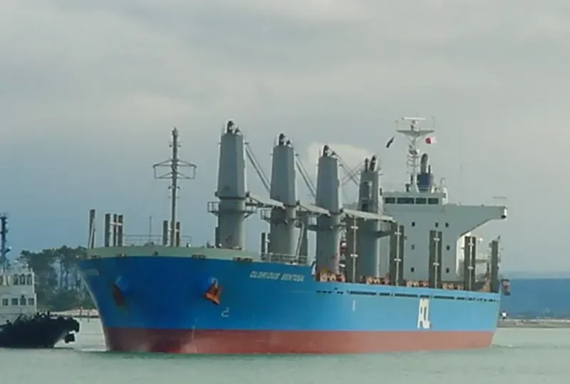 SUNLIGHT Bulk Carrier IMO 9551351 photo 10